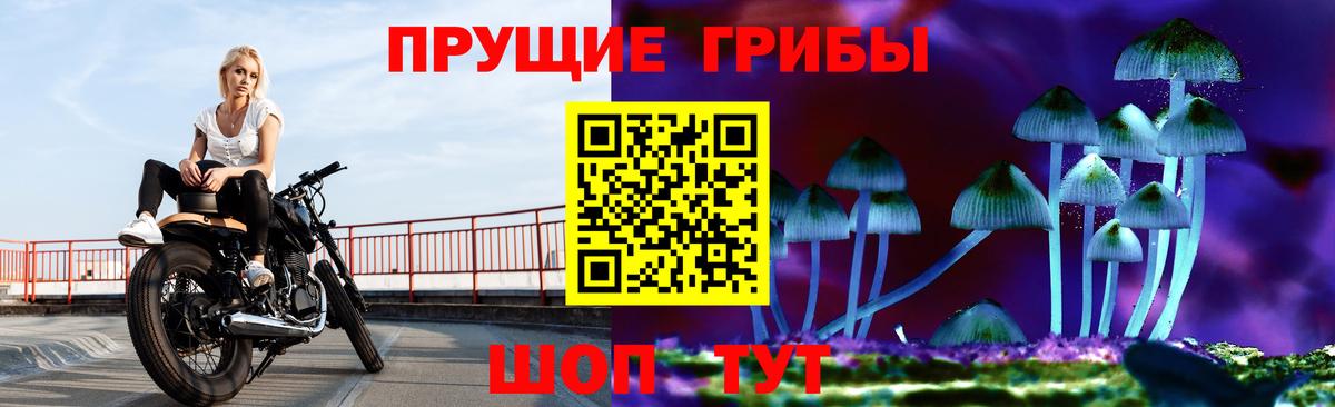 Галлюциногенные грибы прущие грибы  где купить наркоту  Нерюнгри  Вход с VPN 